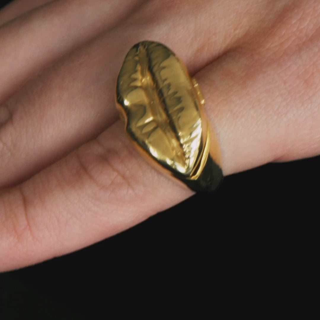 Video of a model wearing a chevalier ring of a mouth in sterling silver with 18k gold plating